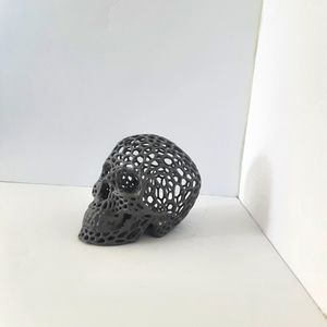 Grey Skull